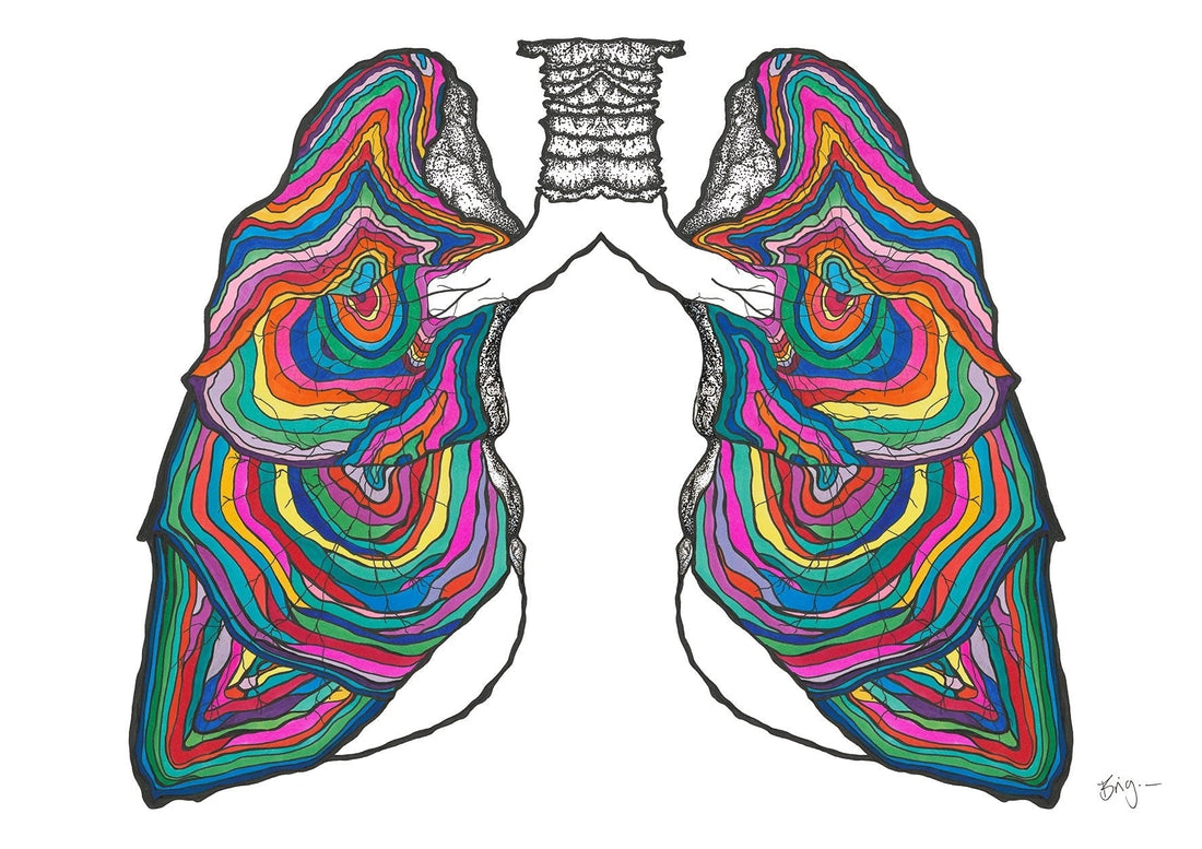 Anatomy Street: The Body as Architecture - Brigitte Gerges