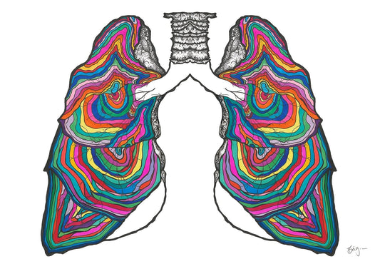 Anatomy Street: The Body as Architecture - Brigitte Gerges