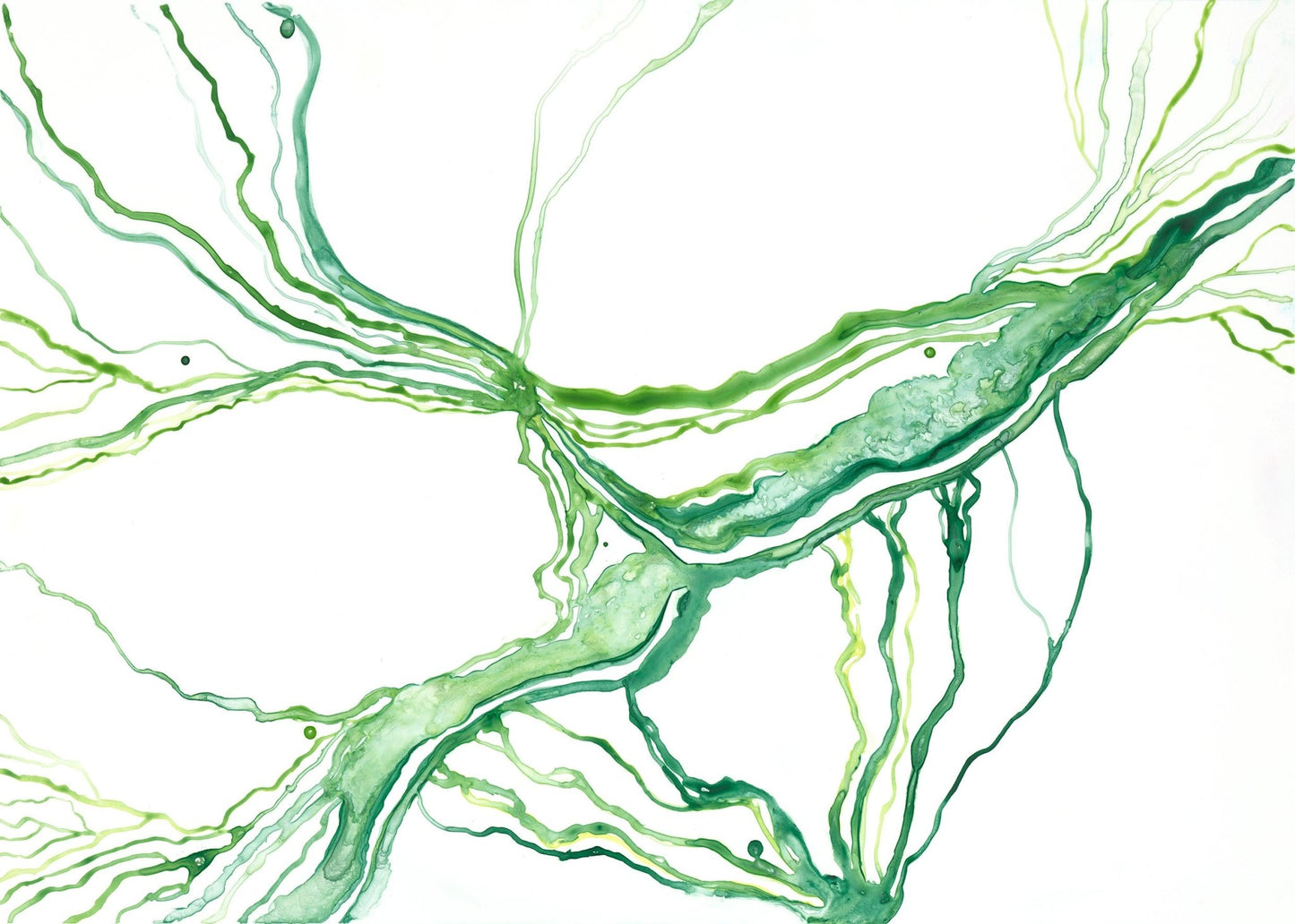 Liquid Hue Green - Brigitte Gerges