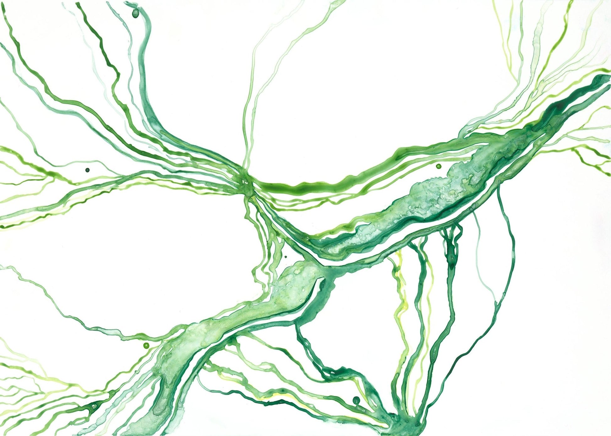 Liquid Hue Green - Brigitte Gerges