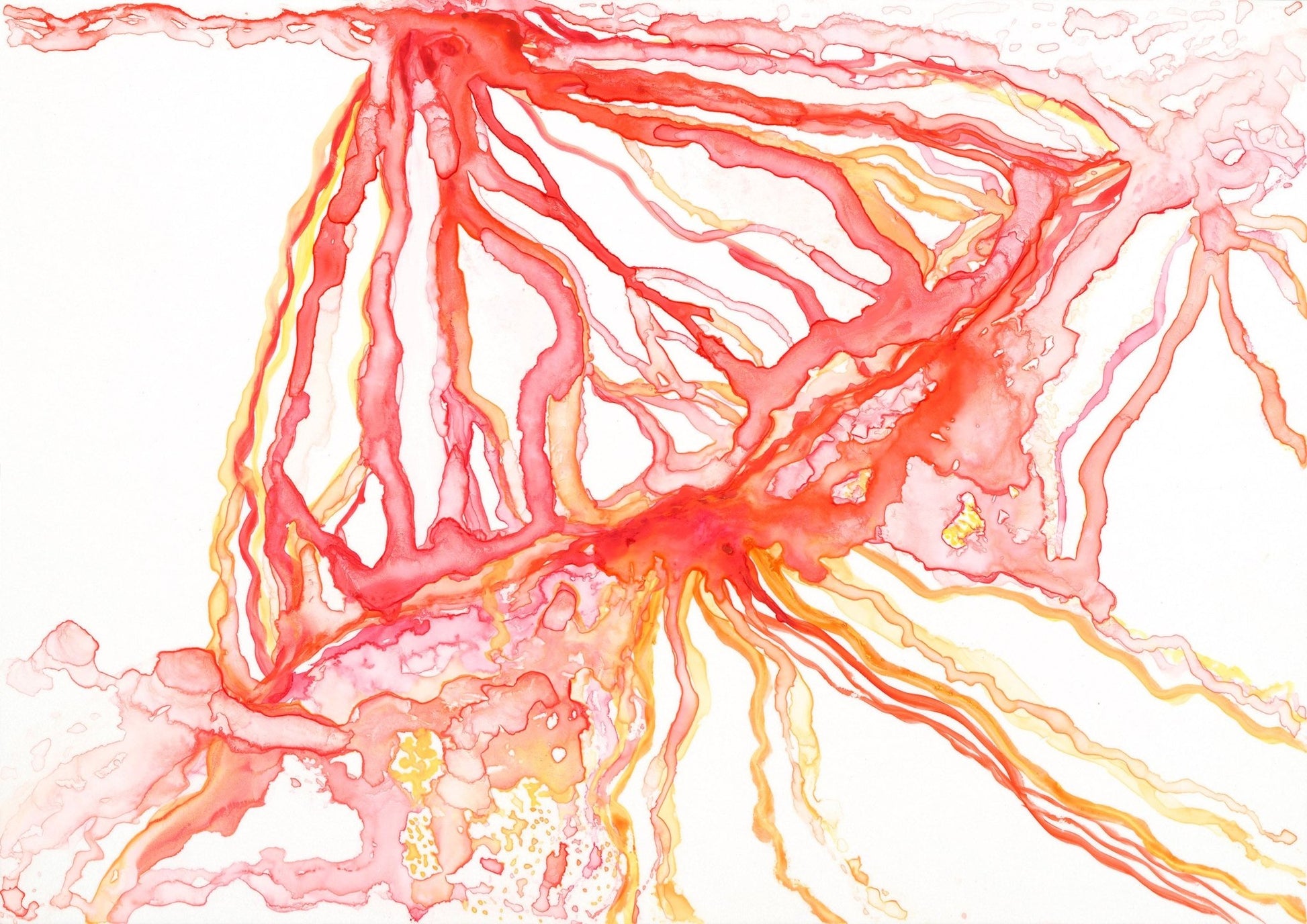 Liquid Hue Orangina - Brigitte Gerges
