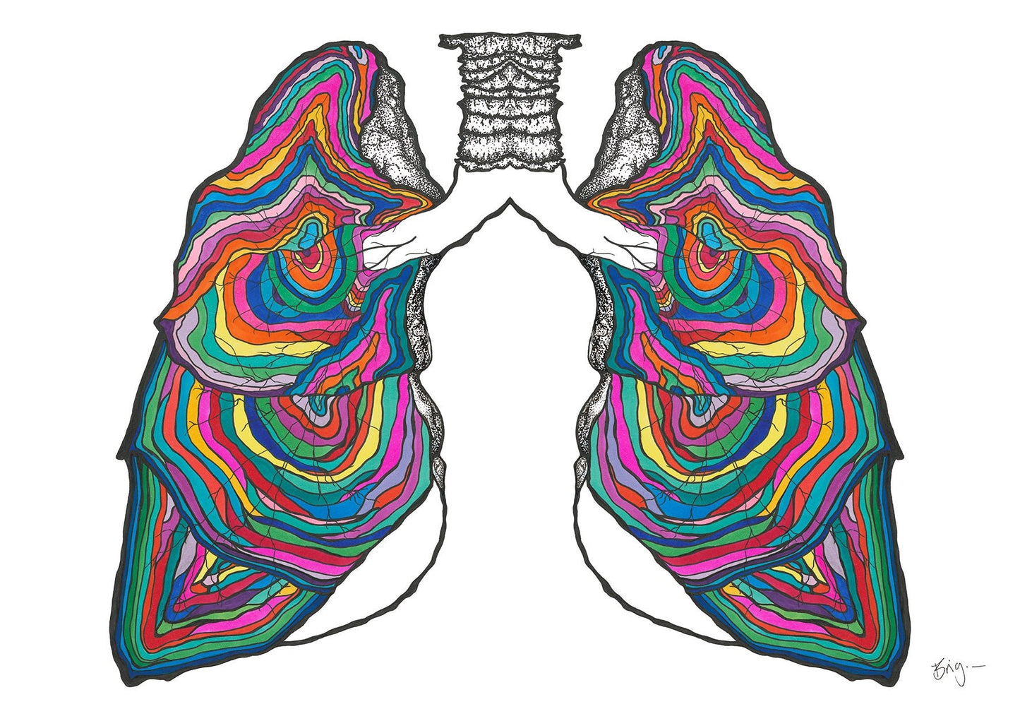 Lungs Anatomy street - Brigitte Gerges