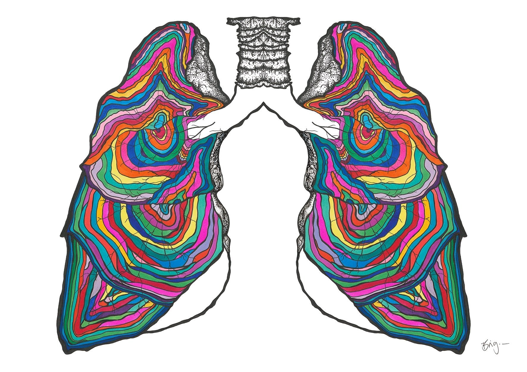 Lungs Anatomy street - Brigitte Gerges